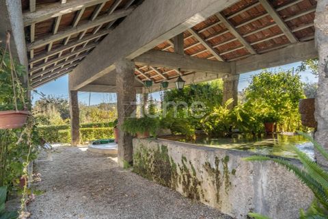 Farm i Viseu, Viseu, Viseu - € 430.000 | Ref: ZMPT564851 - foto 6