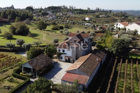Farm i Viseu, Viseu, Viseu - € 430.000 | Ref: ZMPT564851 - foto 8