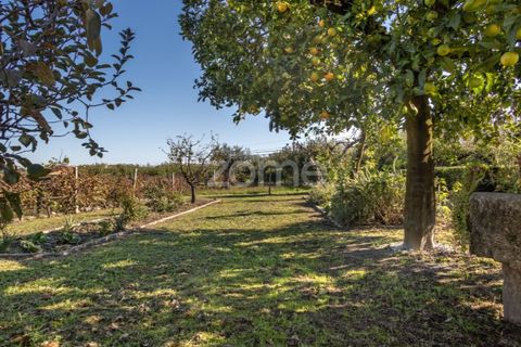 Farm i Viseu, Viseu, Viseu - € 430.000 | Ref: ZMPT564851 - foto 9