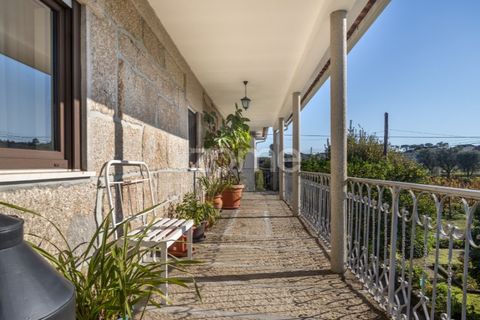 Farm i Viseu, Viseu, Viseu - € 430.000 | Ref: ZMPT564851 - foto 30