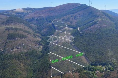 Helårsgrund i Penafiel, Porto, Penafiel - € 150.000 | Ref: ZMPT590085 - foto 2