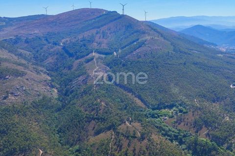 Helårsgrund i Penafiel, Porto, Penafiel - € 150.000 | Ref: ZMPT590085 - foto 3