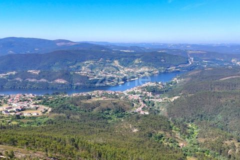 Helårsgrund i Penafiel, Porto, Penafiel - € 150.000 | Ref: ZMPT590085 - foto 5