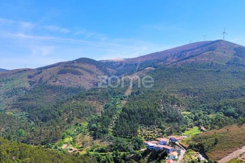 Helårsgrund i Penafiel, Porto, Penafiel - € 150.000 | Ref: ZMPT590085 - foto 6
