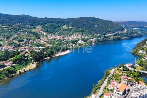 Helårsgrund i Penafiel, Porto, Penafiel - € 150.000 | Ref: ZMPT590085 - foto 7