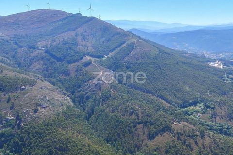 Helårsgrund i Penafiel, Porto, Penafiel - € 150.000 | Ref: ZMPT590085 - foto 10