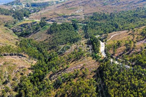 Helårsgrund i Penafiel, Porto, Penafiel - € 150.000 | Ref: ZMPT590085 - foto 11