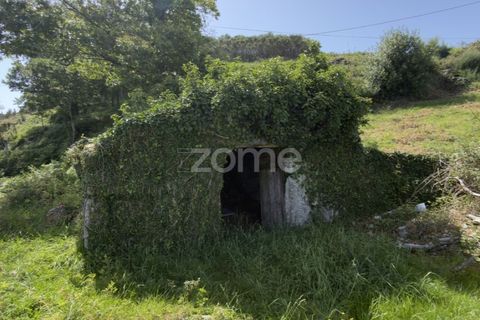 Villa i Vila Verde, Braga, Vila Verde - € 180.000 | Ref: ZMPT589404 - foto 21