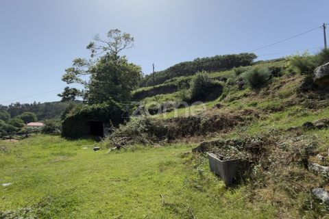 Villa i Vila Verde, Braga, Vila Verde - € 180.000 | Ref: ZMPT589404 - foto 22