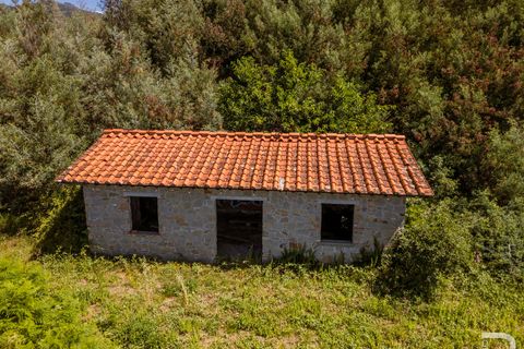 Landejendom i Massa E Cozzile, Pistoia, Massa E Cozzile - € 260.000 | Ref: R07264MACA - foto 7
