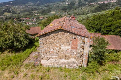 Landejendom i Massa E Cozzile, Pistoia, Massa E Cozzile - € 260.000 | Ref: R07264MACA - foto 3