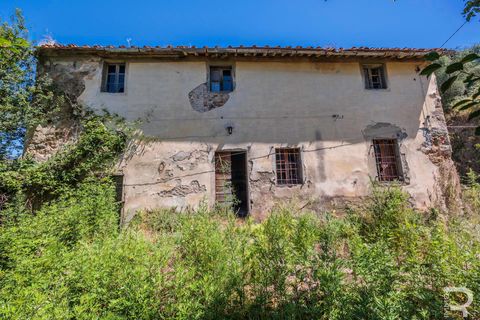Landejendom i Massa E Cozzile, Pistoia, Massa E Cozzile - € 260.000 | Ref: R07264MACA - foto 12