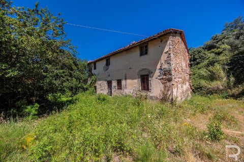 Landejendom i Massa E Cozzile, Pistoia, Massa E Cozzile - € 260.000 | Ref: R07264MACA - foto 10