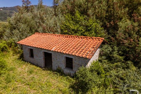 Landejendom i Massa E Cozzile, Pistoia, Massa E Cozzile - € 260.000 | Ref: R07264MACA - foto 6