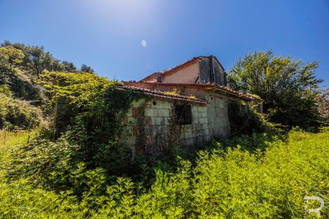 Landejendom i Massa E Cozzile, Pistoia, Massa E Cozzile - € 260.000 | Ref: R07264MACA - foto 18