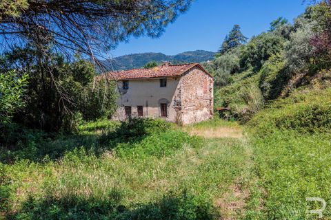 Landejendom i Massa E Cozzile, Pistoia, Massa E Cozzile - € 260.000 | Ref: R07264MACA - foto 11