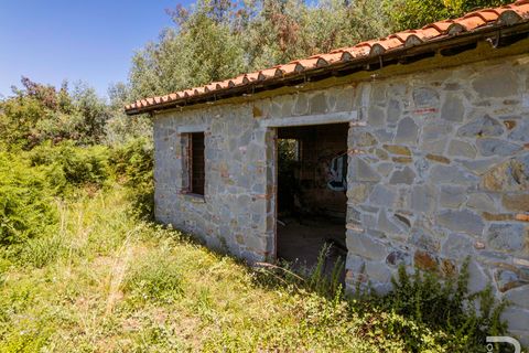 Landejendom i Massa E Cozzile, Pistoia, Massa E Cozzile - € 260.000 | Ref: R07264MACA - foto 8