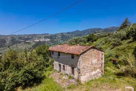 Landejendom i Massa E Cozzile, Pistoia, Massa E Cozzile - € 260.000 | Ref: R07264MACA - foto 2