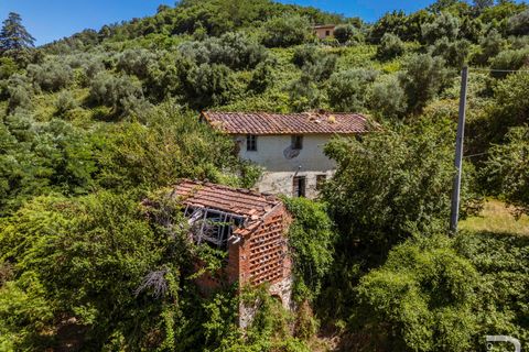 Landejendom i Massa E Cozzile, Pistoia, Massa E Cozzile - € 260.000 | Ref: R07264MACA - foto 4