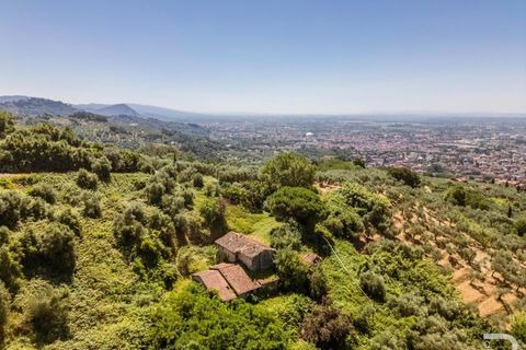 Landejendom i Massa E Cozzile, Pistoia, Massa E Cozzile - € 260.000 | Ref: R07264MACA - foto 5