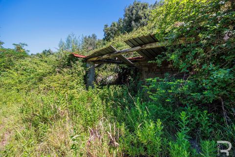 Landejendom i Massa E Cozzile, Pistoia, Massa E Cozzile - € 260.000 | Ref: R07264MACA - foto 15