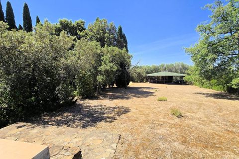 Villa i Scansano, Grosseto, Scansano - € 750 000 | Ref: 1718 - foto 6