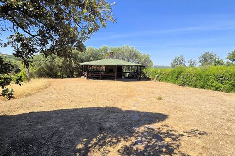 Villa i Scansano, Grosseto, Scansano - € 750 000 | Ref: 1718 - foto 8