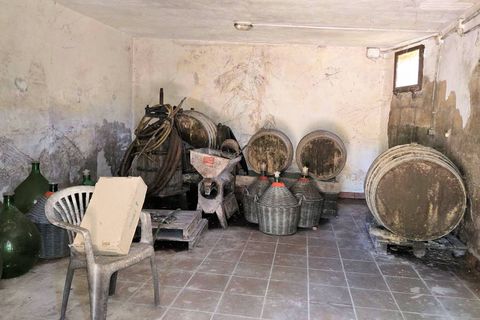 Villa i Scansano, Grosseto, Scansano - € 750 000 | Ref: 1718 - foto 22