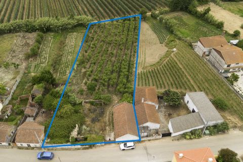 Helårsgrund i Bombarral, Leiria, Bombarral - € 100.000 | Ref: CB07-0124 - foto 1