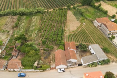 Helårsgrund i Bombarral, Leiria, Bombarral - € 100.000 | Ref: CB07-0124 - foto 2