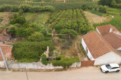 Helårsgrund i Bombarral, Leiria, Bombarral - € 100.000 | Ref: CB07-0124 - foto 3