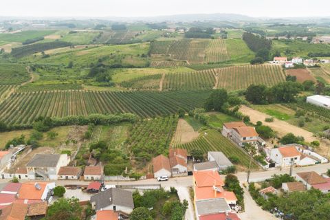 Helårsgrund i Bombarral, Leiria, Bombarral - € 100.000 | Ref: CB07-0124 - foto 4
