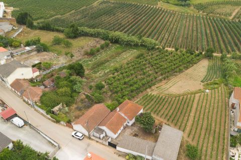 Helårsgrund i Bombarral, Leiria, Bombarral - € 100.000 | Ref: CB07-0124 - foto 5