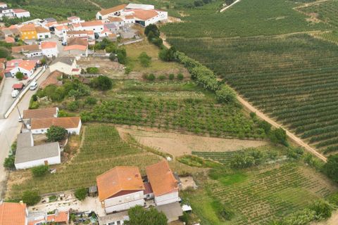 Helårsgrund i Bombarral, Leiria, Bombarral - € 100.000 | Ref: CB07-0124 - foto 6