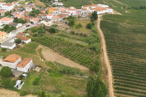 Helårsgrund i Bombarral, Leiria, Bombarral - € 100.000 | Ref: CB07-0124 - foto 7