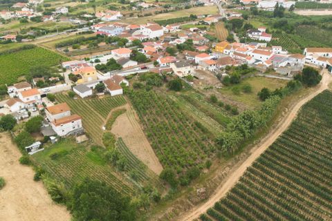 Helårsgrund i Bombarral, Leiria, Bombarral - € 100.000 | Ref: CB07-0124 - foto 8