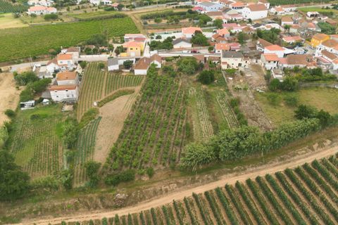 Helårsgrund i Bombarral, Leiria, Bombarral - € 100.000 | Ref: CB07-0124 - foto 9