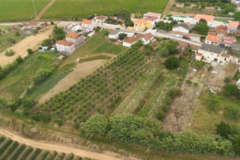 Helårsgrund i Bombarral, Leiria, Bombarral - € 100.000 | Ref: CB07-0124 - foto 10
