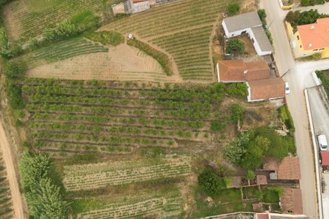 Helårsgrund i Bombarral, Leiria, Bombarral - € 100.000 | Ref: CB07-0124 - foto 11