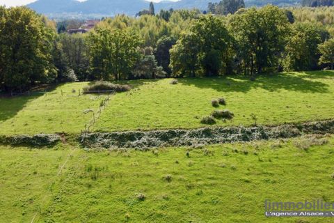 Terra a Taintrux, Vosges, Taintrux - € 18.500 | Ref: VT178-LIMMOBILIERE - foto 2
