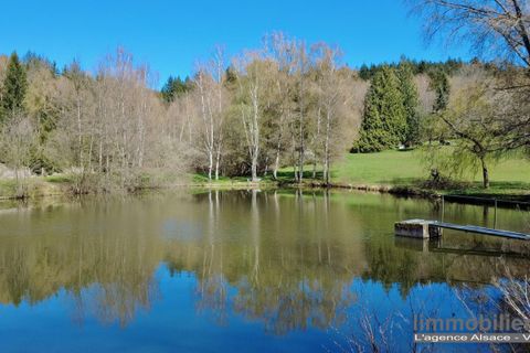 Villa a Coinches, Vosges, Coinches - € 525.000 | Ref: VM1096-LIMMOBILIERE - foto 4