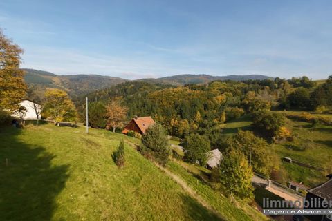Helårsgrund i Wildersbach, Bas-Rhin, Wildersbach - € 45.000 | Ref: VT182-LIMMOBILIERE - foto 3