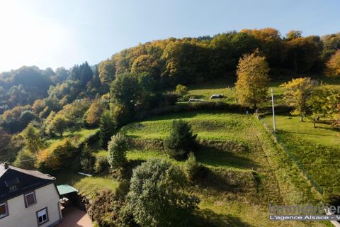 Helårsgrund i Wildersbach, Bas-Rhin, Wildersbach - € 45.000 | Ref: VT182-LIMMOBILIERE - foto 4