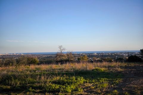 Terra a Ferreiras, Faro, Ferreiras - € 580.000 | Ref: MCD024 - foto 3