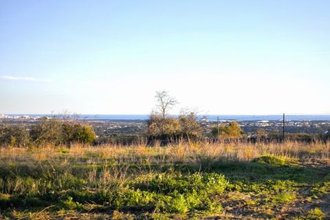Terra a Ferreiras, Faro, Ferreiras - € 580.000 | Ref: MCD024 - foto 4