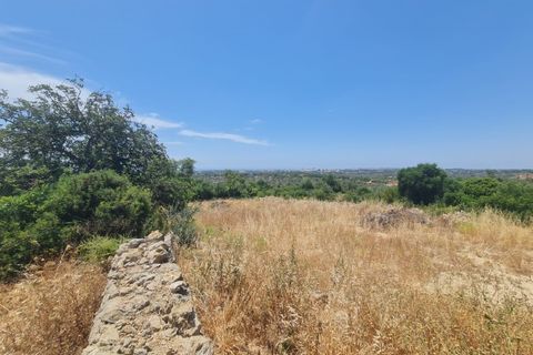 Terra a Ferreiras, Faro, Ferreiras - € 580.000 | Ref: MCD024 - foto 9