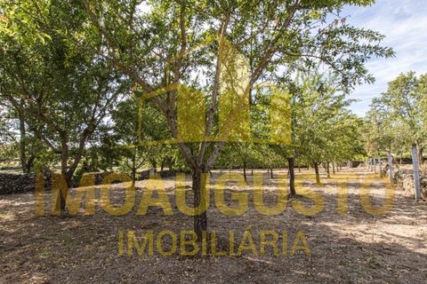 Villa in Guarda, Guarda, Guarda - € 199.900 | Ref: CAS_2483 - foto 27