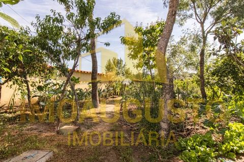 Villa in Guarda, Guarda, Guarda - € 199.900 | Ref: CAS_2483 - foto 28