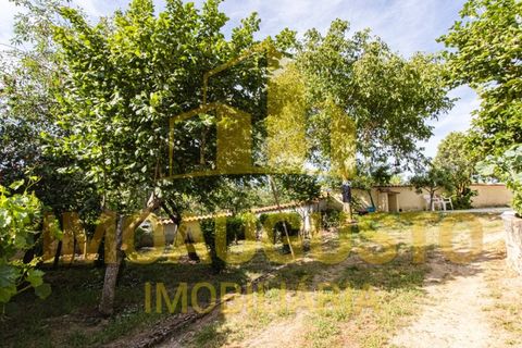 Villa in Guarda, Guarda, Guarda - € 199.900 | Ref: CAS_2483 - foto 29