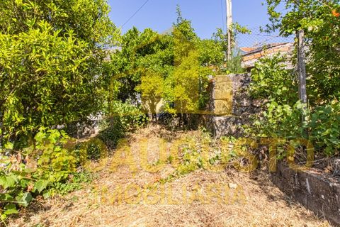 Villa a Celorico da Beira, Guarda, Celorico da Beira - € 105.000 | Ref: CAS_2487 - foto 25